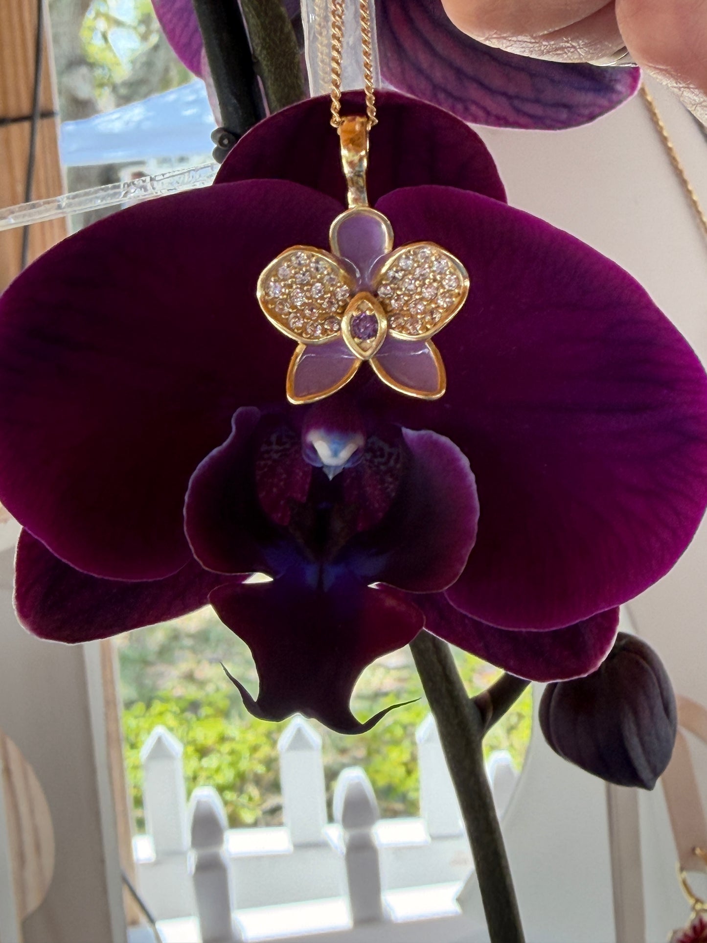 Whispers Glow Collection: Purple Phalaenopsis Orchid Set - Orchidique