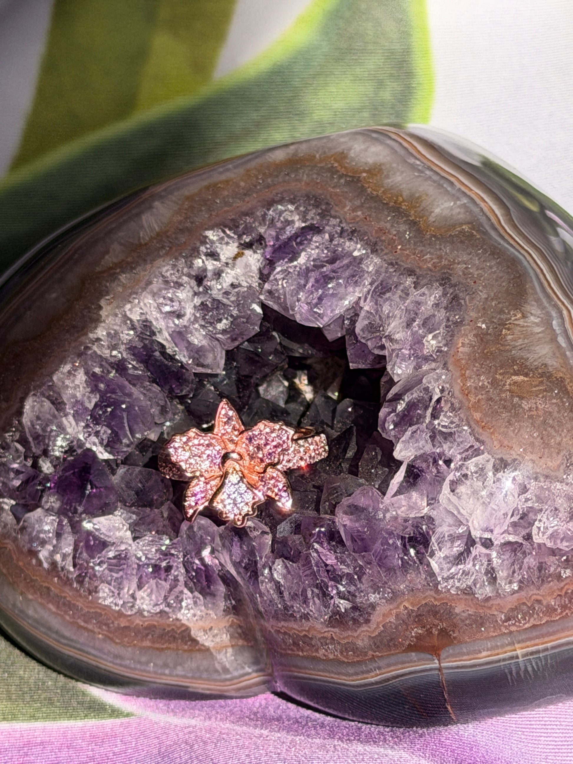 CattaLuisa Collection of Rings- Cattleya Flower Ring - Orchidique