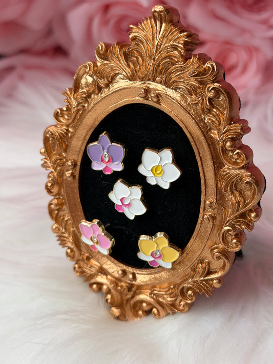 Mini Phal Cutie Orchid Pin Collection - Orchidique