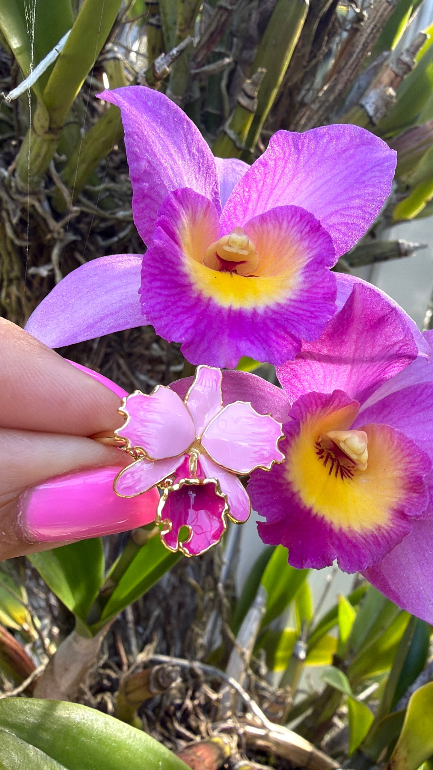 Drama Collection:  Pink Splash Cattleya Dowiana Orchid Statement Ring
