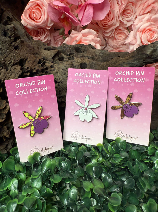 Hippoclamia BC Cattleya- Inspired Bloom Pin