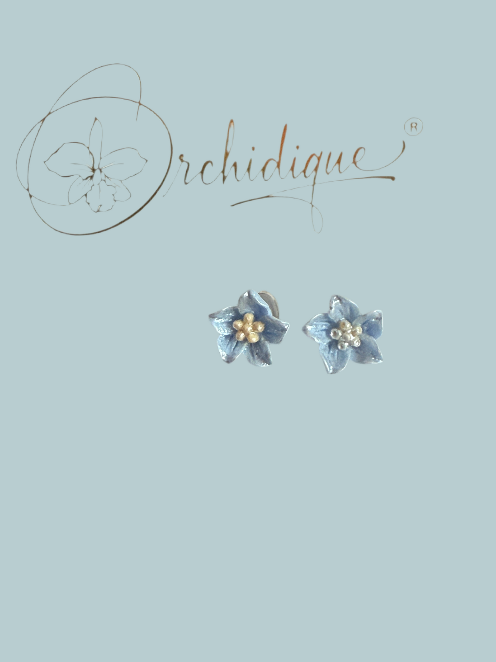 Dainty Forget-Me-Not Blue Hoya Porcelain Earrings • Blue Star-Shaped Flower Studs - Orchidique