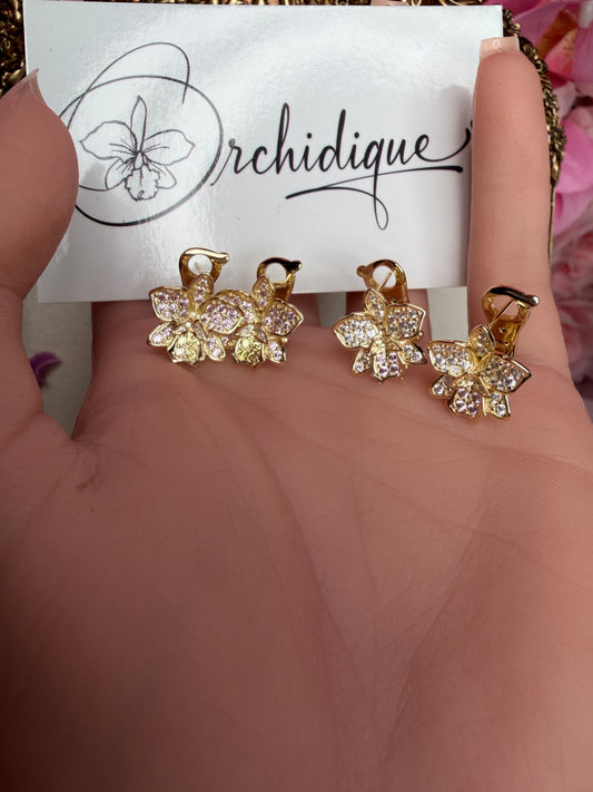 Shimmer Me Hawaiian Cattleya Earrings - Orchidique