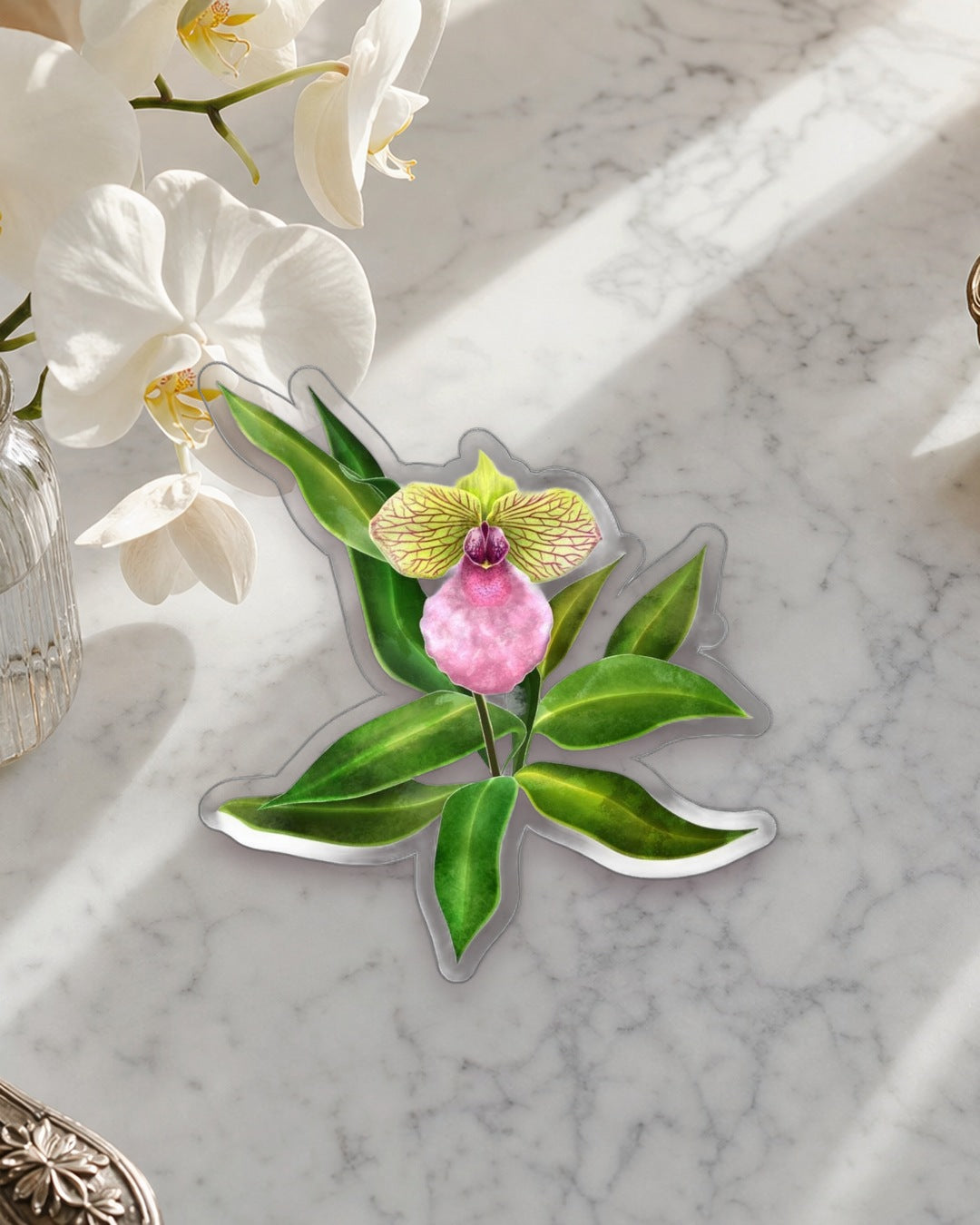Paphiopedilum Fanaticum Orchid sticker, waterproof vinyl decal, staged photo