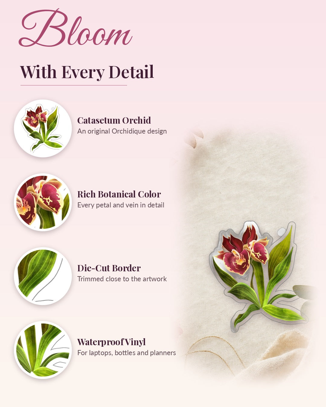 Catasetum Orchid sticker, waterproof vinyl decal, detail callouts