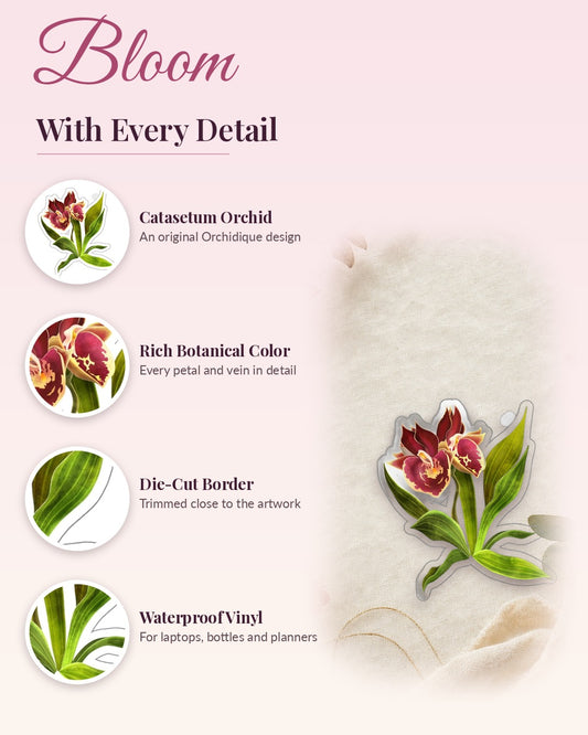 Catasetum Orchid sticker, waterproof vinyl decal, detail callouts