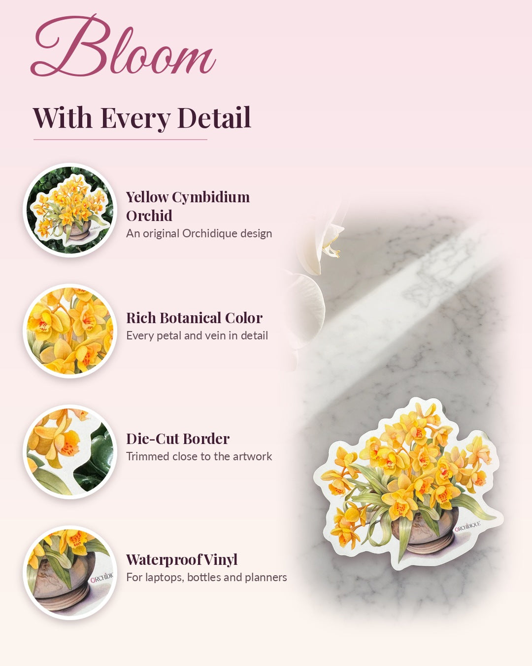 Yellow Cymbidium Orchid sticker, waterproof vinyl decal, detail callouts
