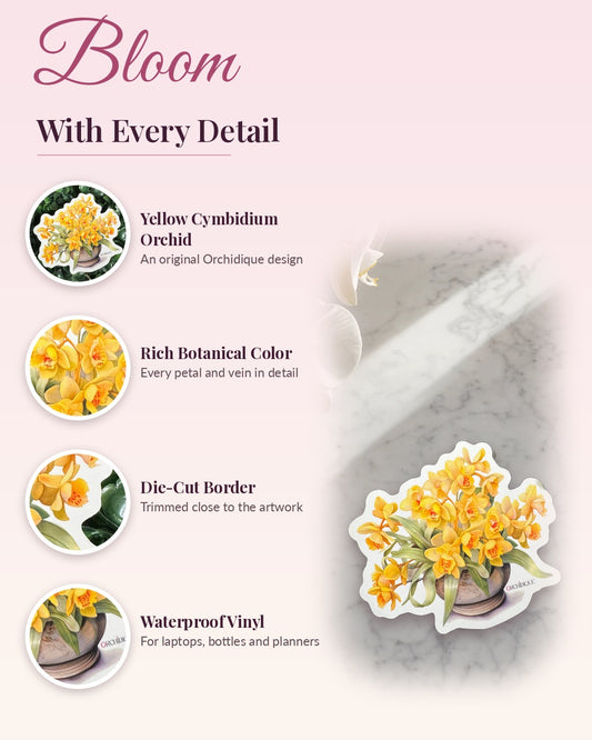 Yellow Cymbidium Orchid sticker, waterproof vinyl decal, detail callouts