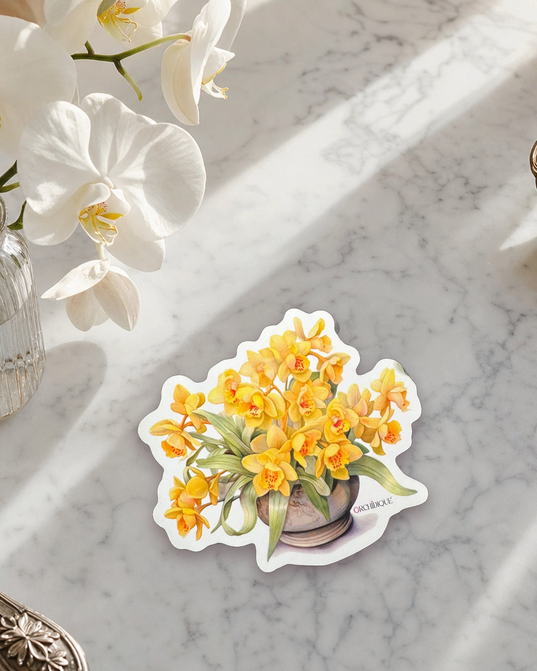 Yellow Cymbidium Orchid sticker, waterproof vinyl decal, staged photo