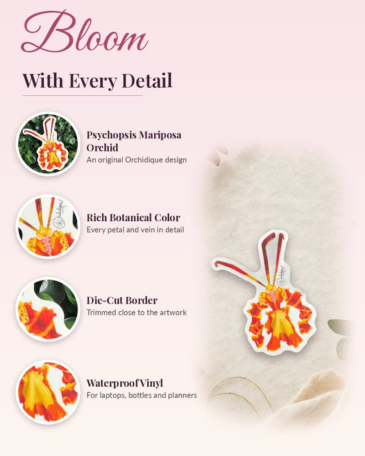 Psychopsis Mariposa Orchid sticker, waterproof vinyl decal, detail callouts