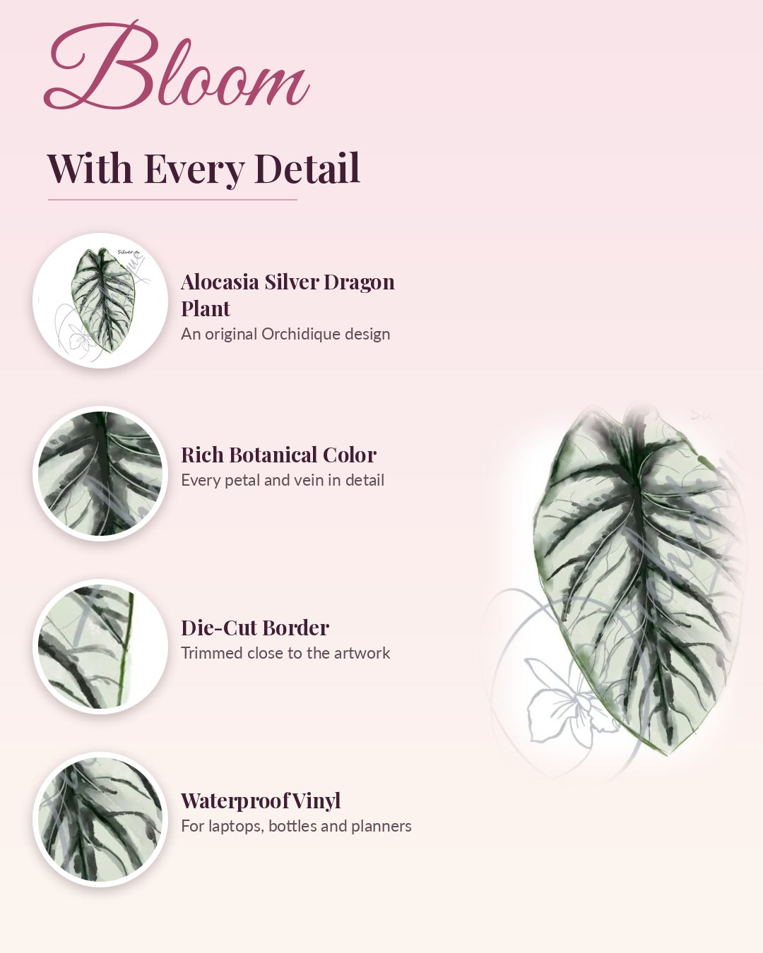 Alocasia Silver Dragon Plant sticker, waterproof vinyl decal, detail callouts
