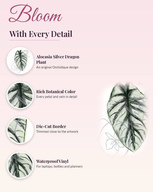 Alocasia Silver Dragon Plant sticker, waterproof vinyl decal, detail callouts