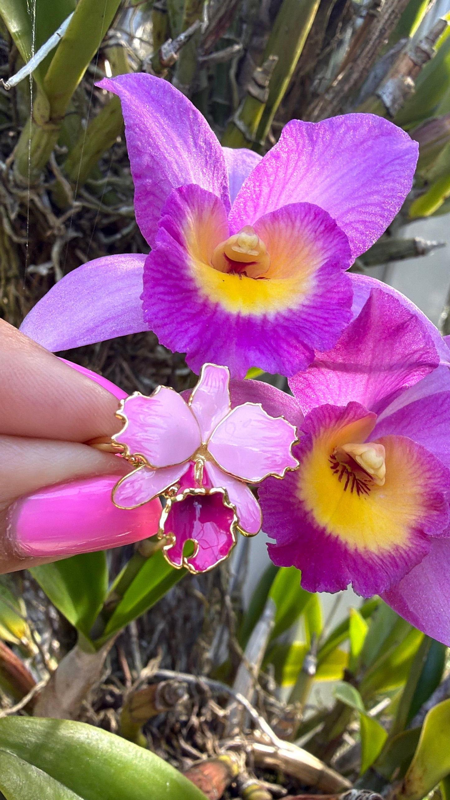 Drama Collection:  Pink Splash Cattleya Dowiana Orchid Statement Ring