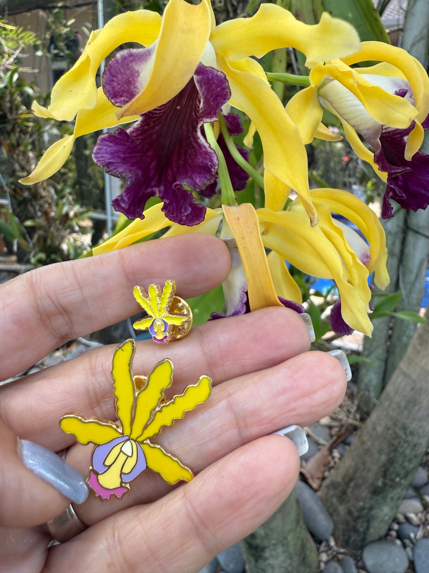 Catasetum Orchid Kiss-Cut Stickers
