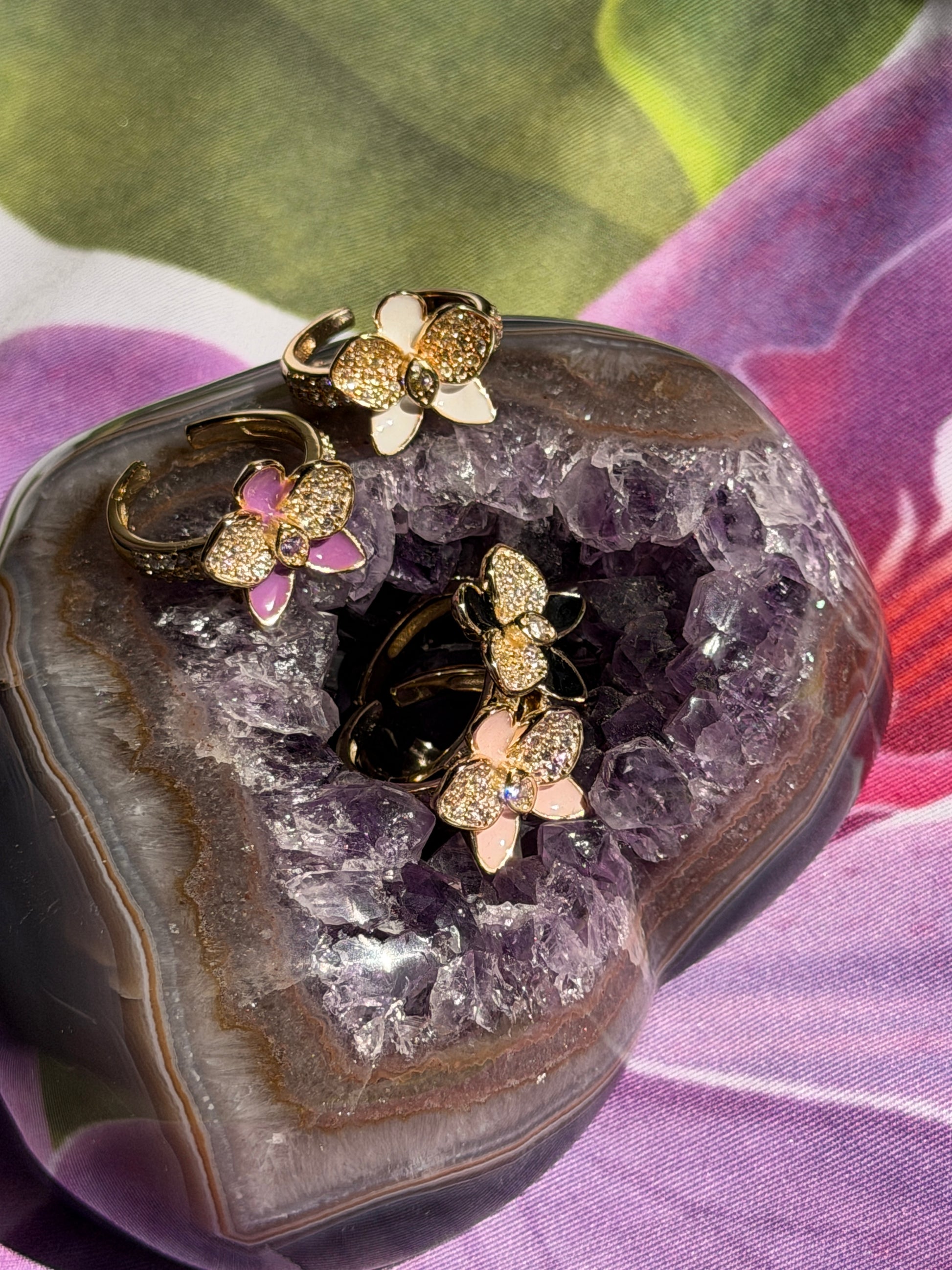 Whispers Glow Collection : White - Yellow Zircons Phalaenopsis Orchid Set - Orchidique