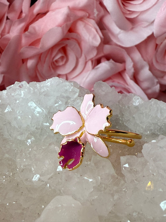 Drama Collection: Pink Cattleya Dowiana Orchid Ring
