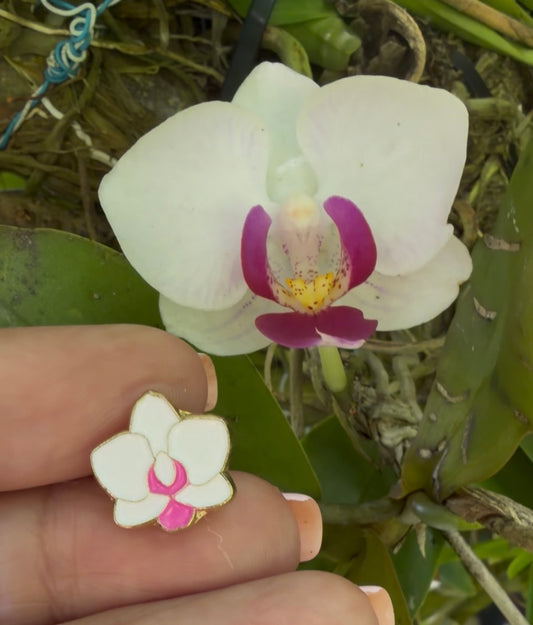 Mini Phal Cutie Orchid Pin Collection - Orchidique