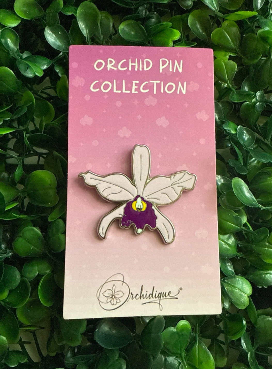 Cattleya Jenmanii-inspired  Orchid Flower Enamel Pin