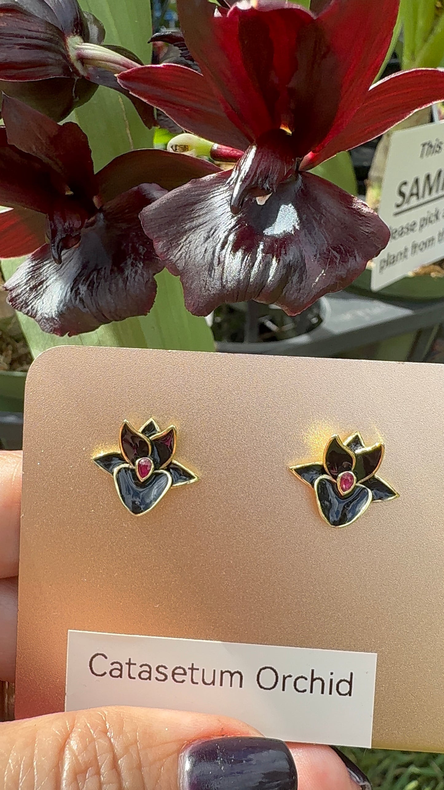 Catasetum Collection : Black Catasetum Orchid Jewelry Set - Orchidique