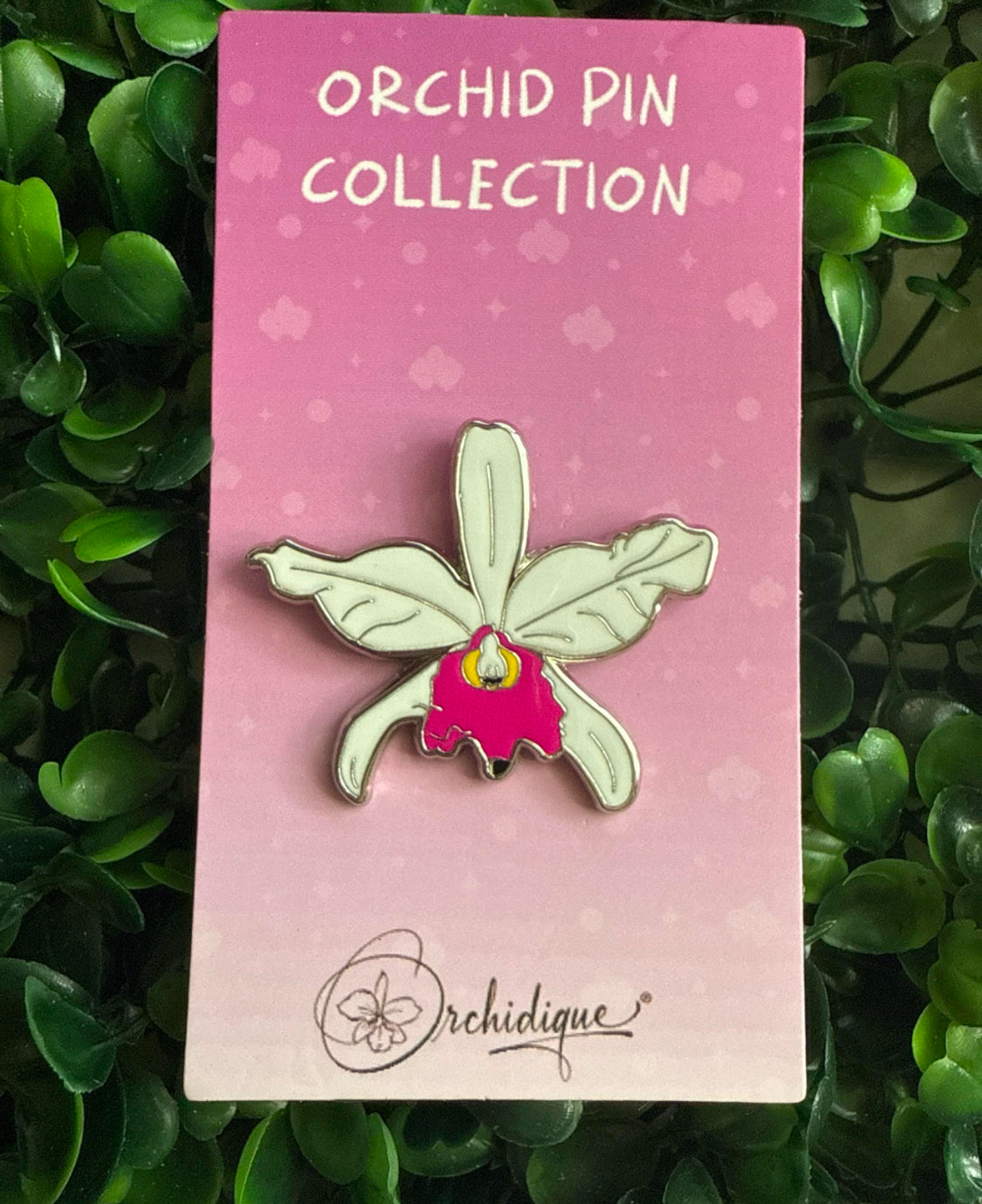 Cattleya Jenmanii-inspired  Orchid Flower Enamel Pin