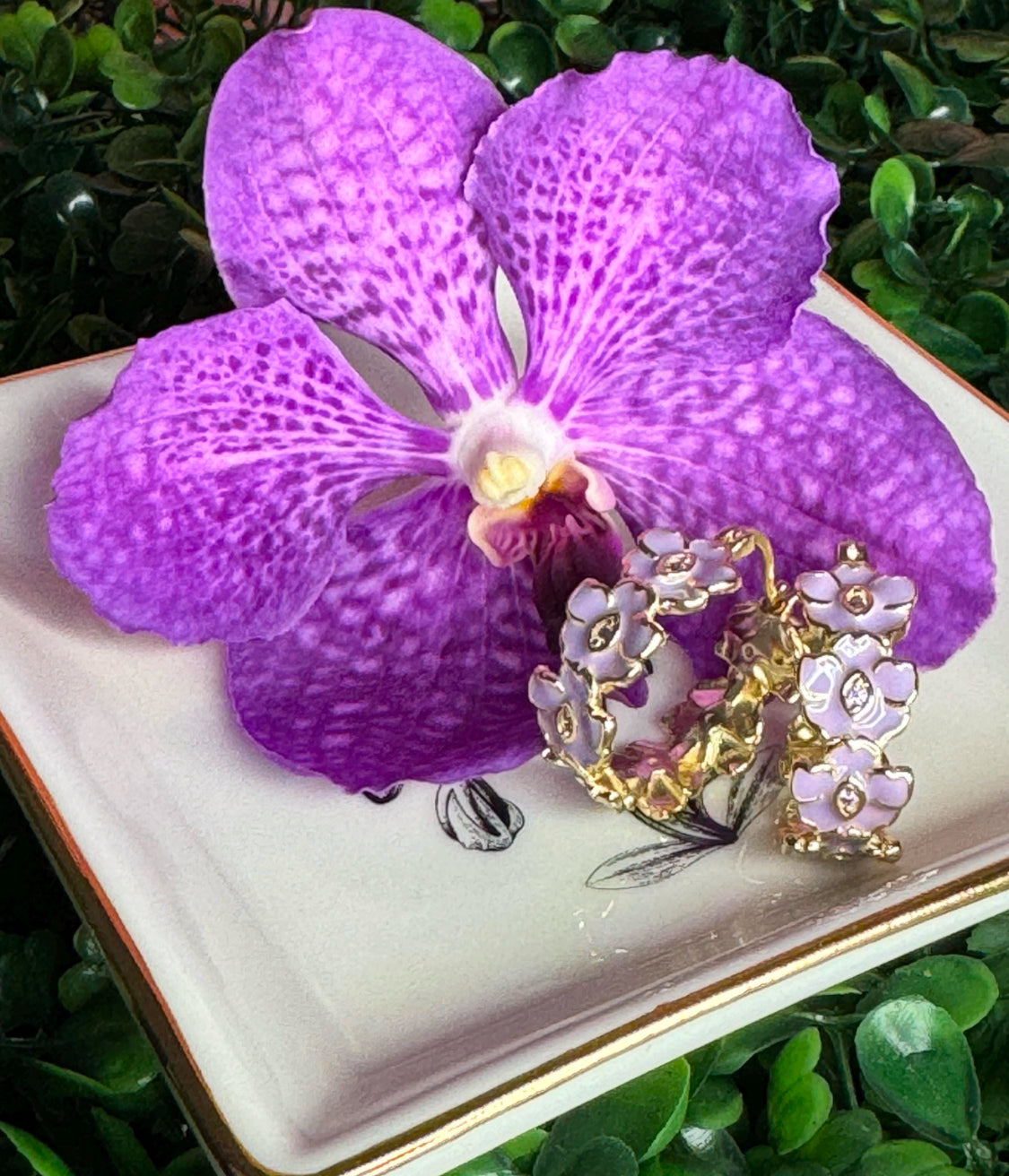 The Vanda Hoop Collection: Vanda Orchid Hoop Earrings