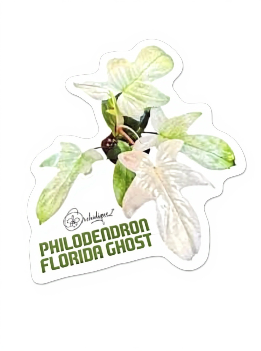 Philodendron Leaf Sticker • Florida Ghost Sticker