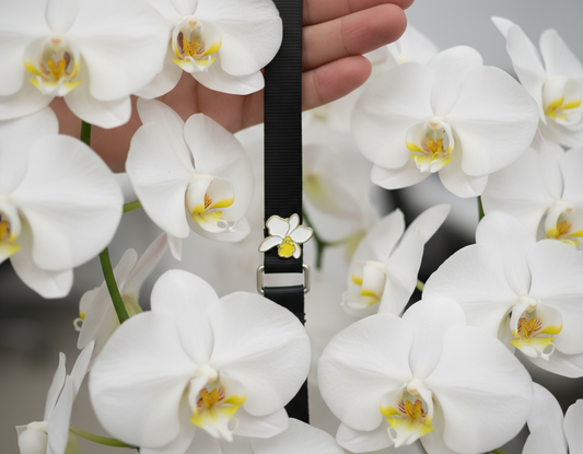 Mini Cattleya Luddy inspired Orchid Flower Enamel Pin