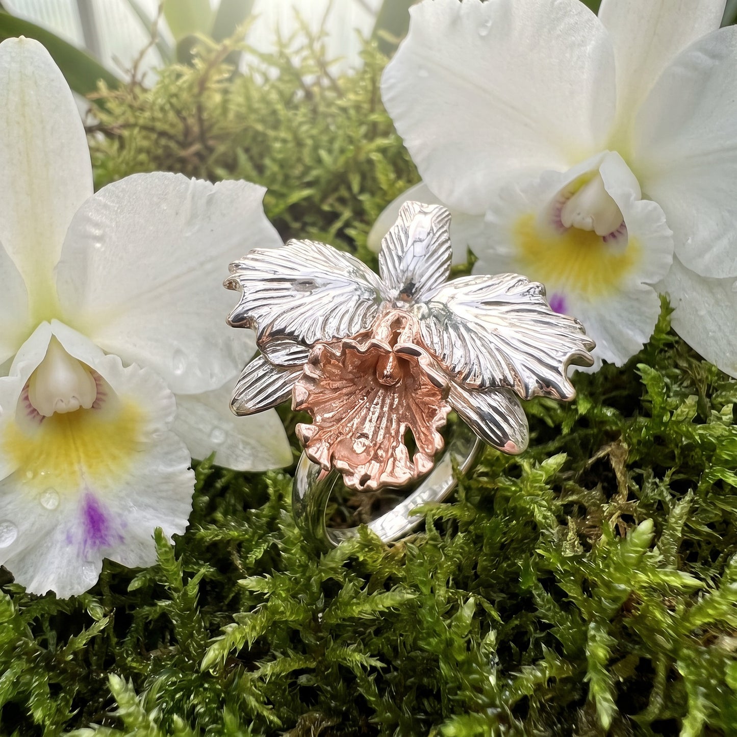 Drama Cattleya Dowiana Statement Ring on Blush Silk - Orchidique