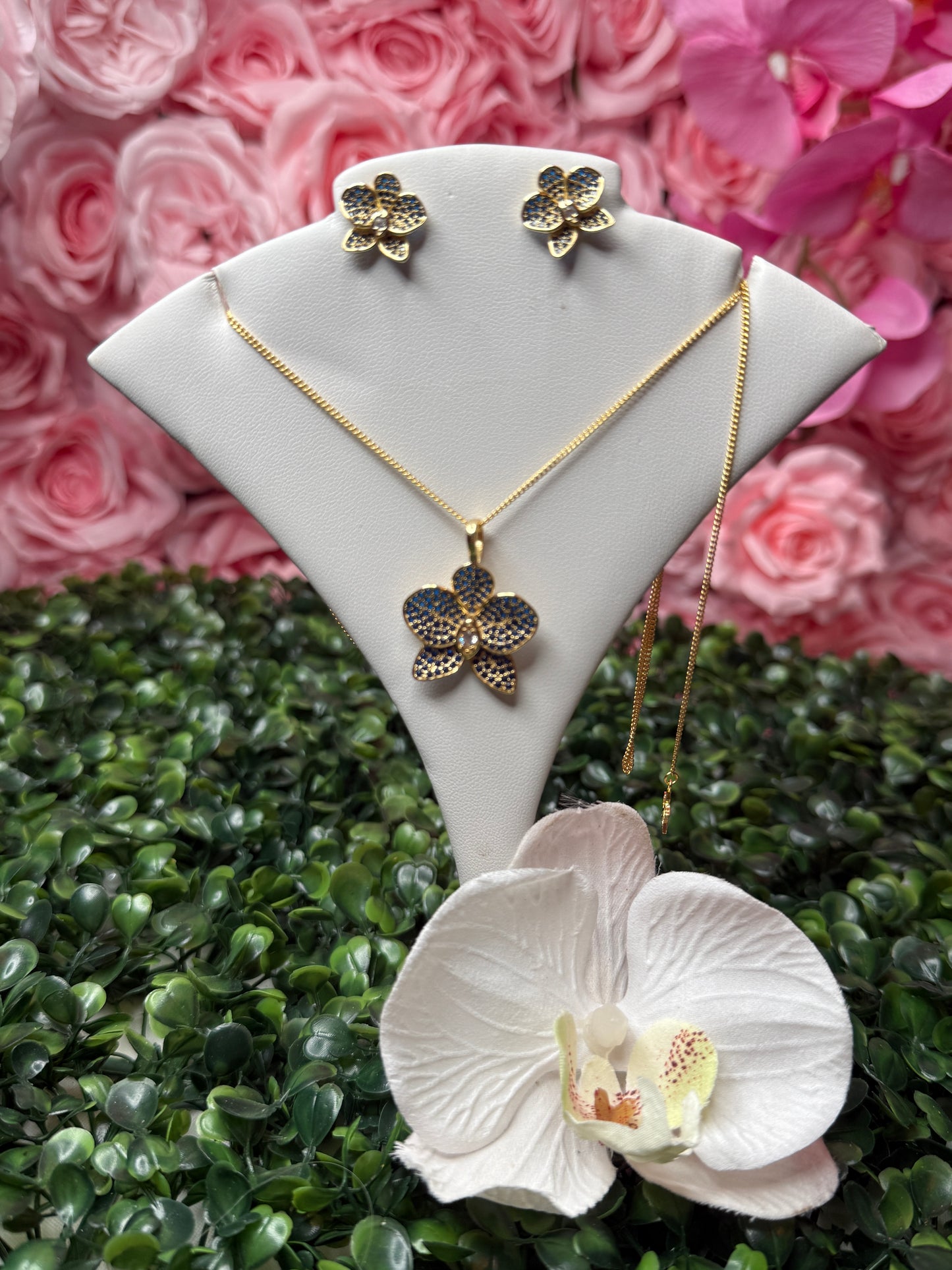 Shimmer me Phalaenopsis Collection • Gold with Sapphire Blue