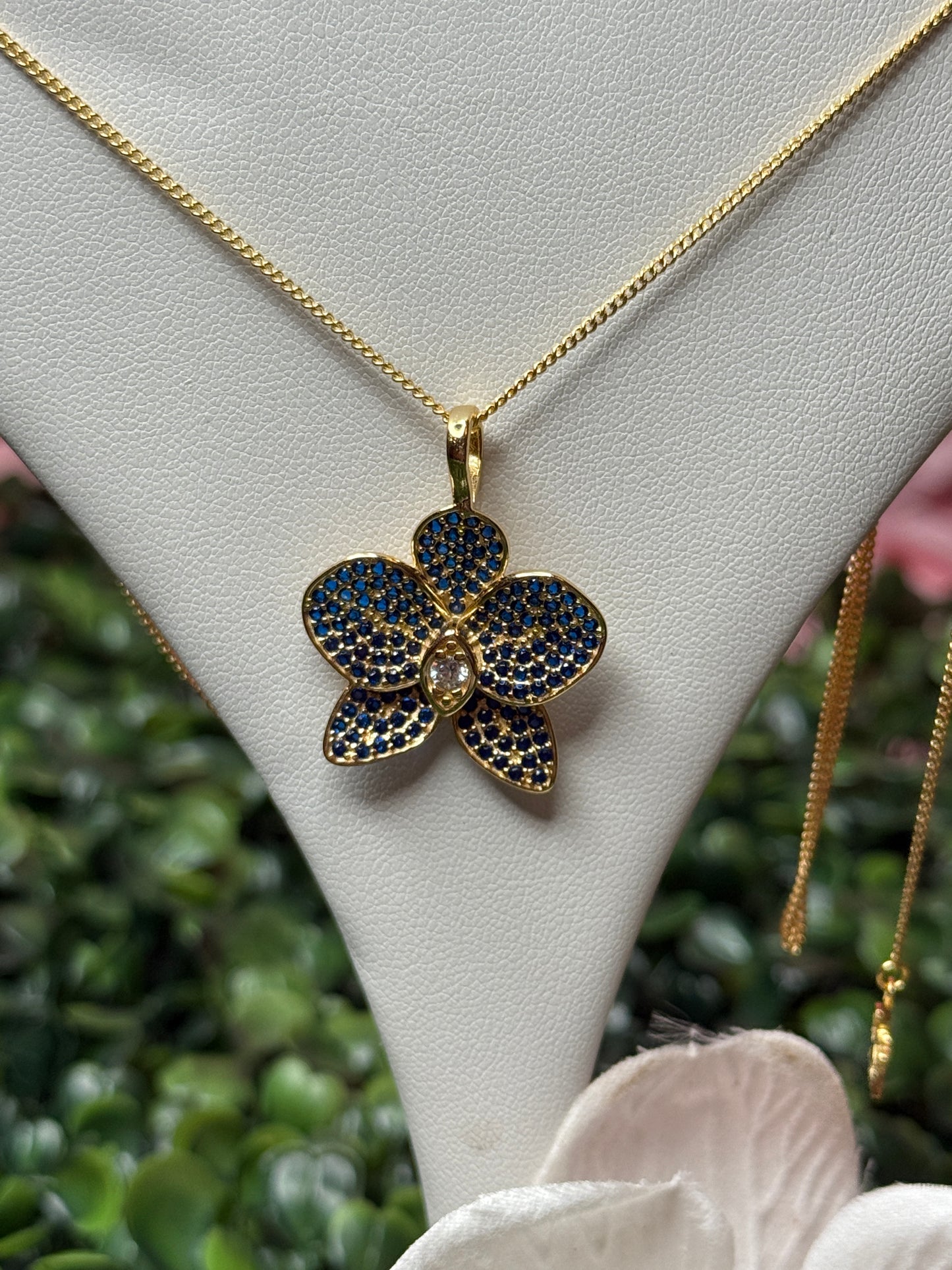 Shimmer me Phalaenopsis Collection • Gold with Sapphire Blue