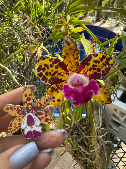 Cattleya loddigesii- inspired Orchid Flower Enamel Pin • Yellow Spotted Floral Pin Collector Item