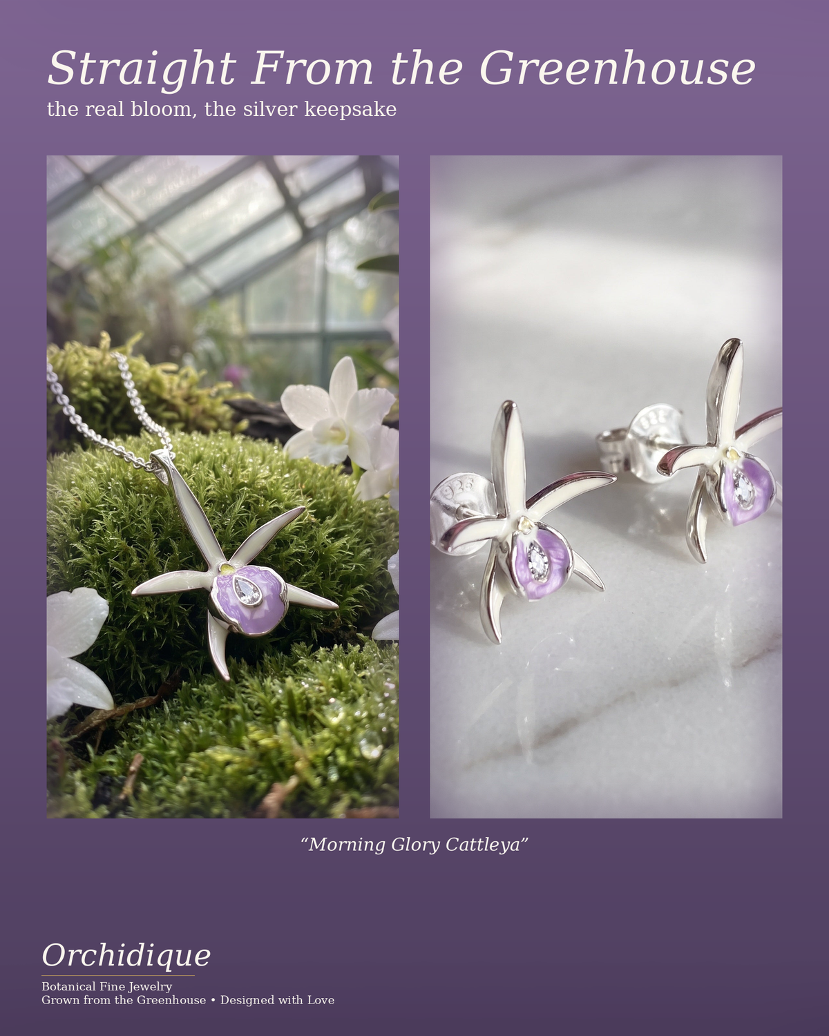 Brassocattleya Star Orchid Necklace or Studs — Orchidique view 3