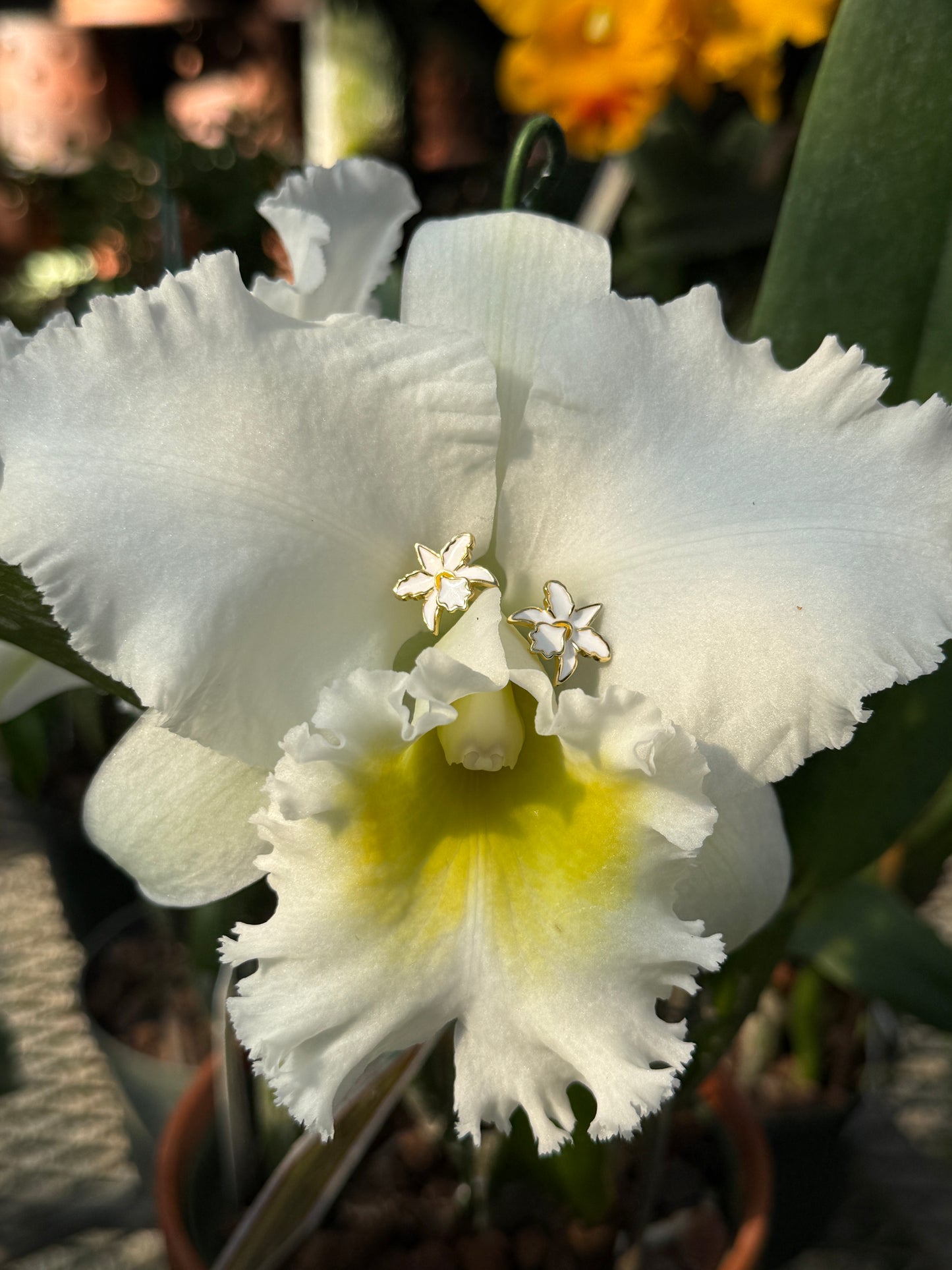 La Colombiana Inspired Collection: Cattleya Orchid Jewelry Set • White • Orchid Flower Necklace & Earrings