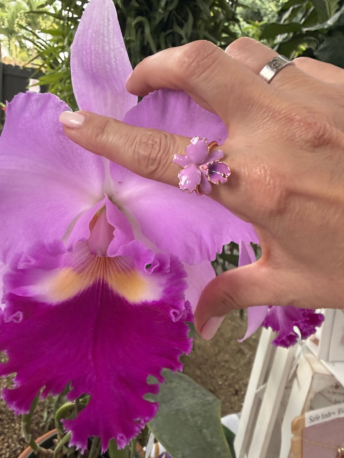 Drama Collection:  Lavendar Cattleya Dowiana Orchid Statement Ring