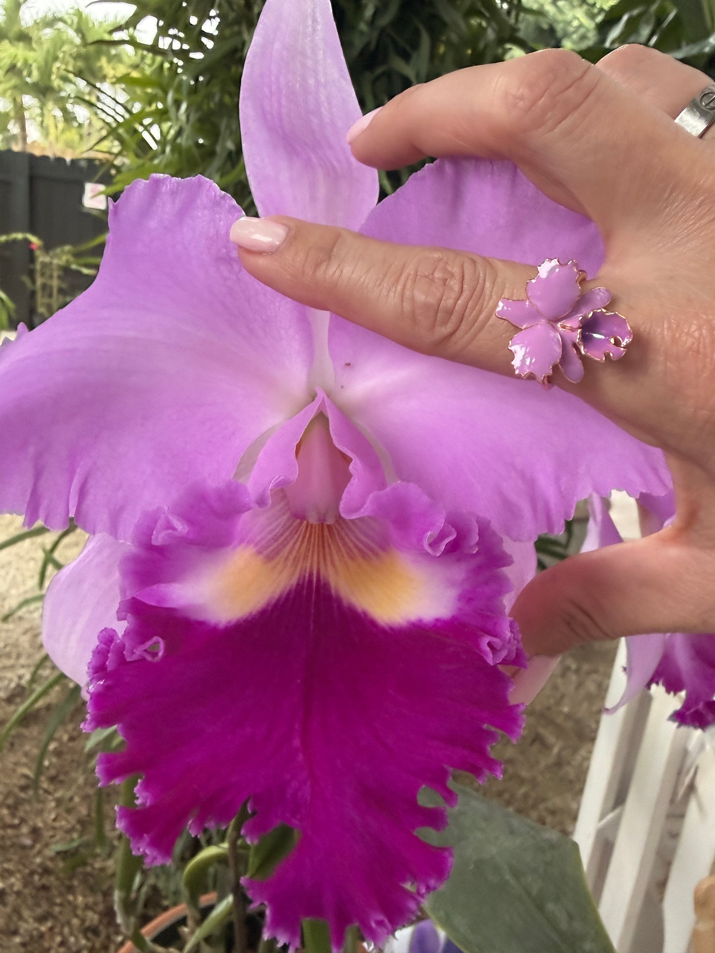 Drama Collection:  Lavendar Cattleya Dowiana Orchid Statement Ring