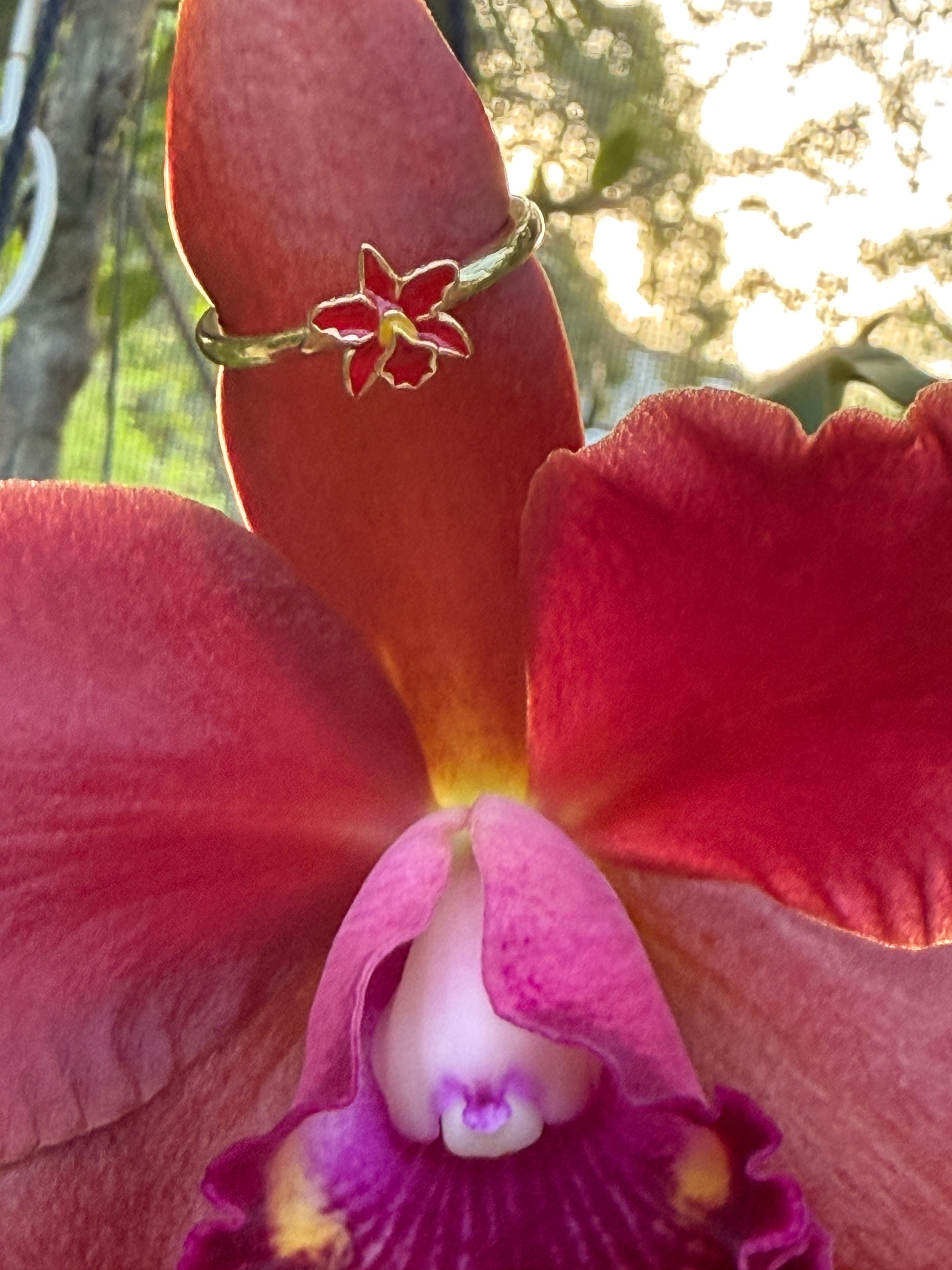 La Colombiana Collection: Red Cattleya Trianae Orchid Jewelry Set - Orchidique