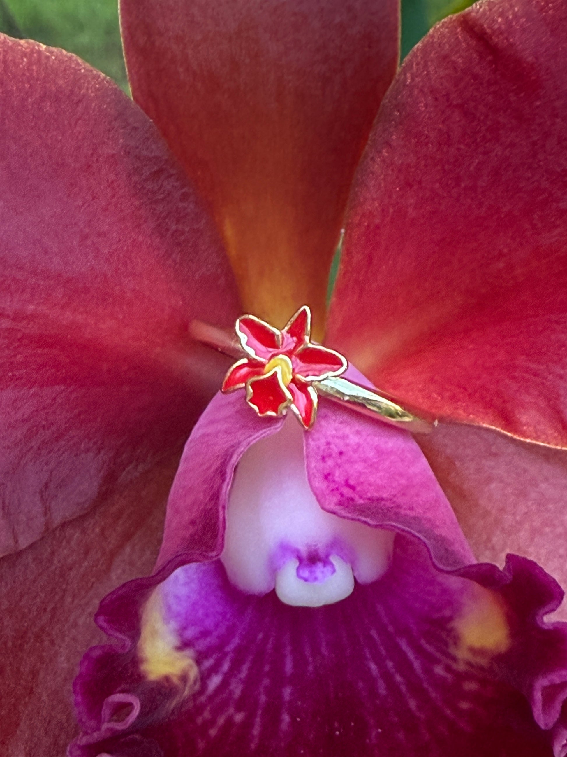 La Colombiana Collection: Red Cattleya Trianae Orchid Jewelry Set - Orchidique