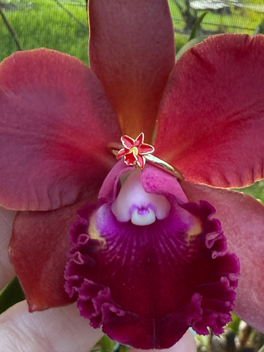 La Colombiana Collection: Red Cattleya Trianae Orchid Jewelry Set - Orchidique