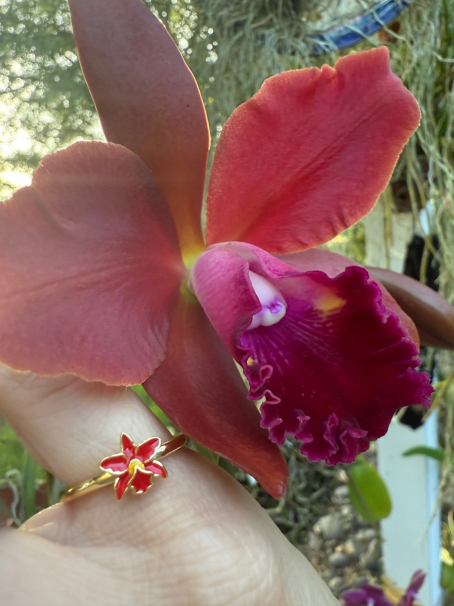La Colombiana Collection: Red Cattleya Trianae Orchid Jewelry Set - Orchidique