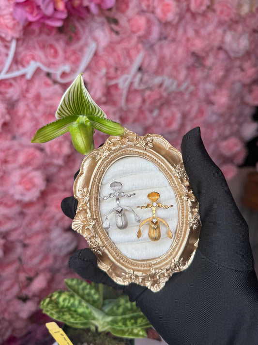 Slipper Orchid Gold Brooch Paphiopedilum Orchid Jewelry