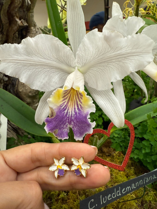 La Colombiana Collection: White & Purple Cattleya Orchid Jewelry Set