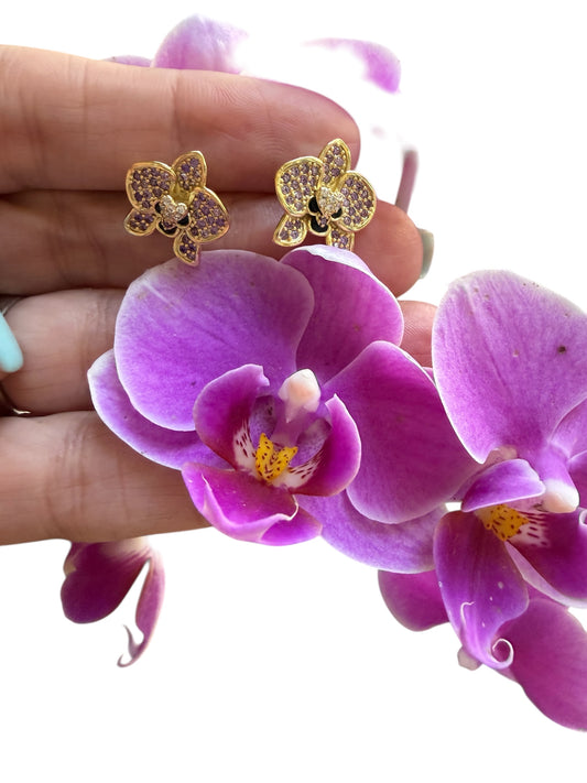 Whispers of the Heart & the Moon Collection: Lavendar Phalaenopsis - Orchidique
