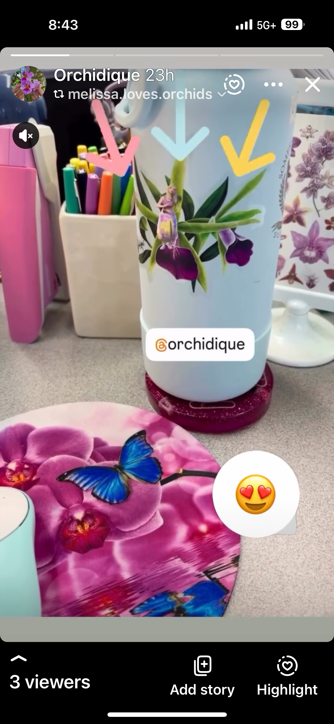 Orchid Brassavola Sticker