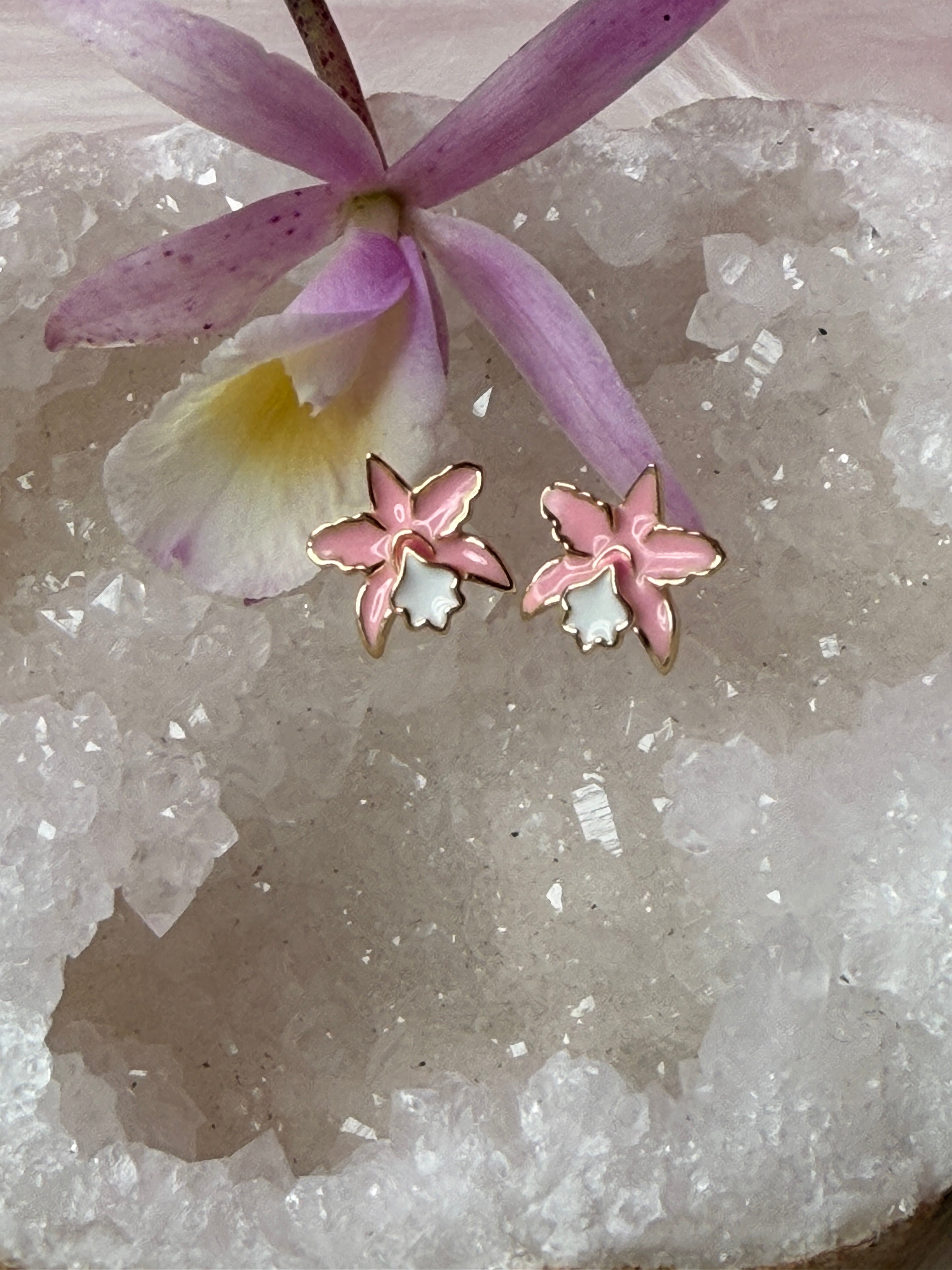 La Colombiana Collection: Soft Pink & White Cattleya Cattleya