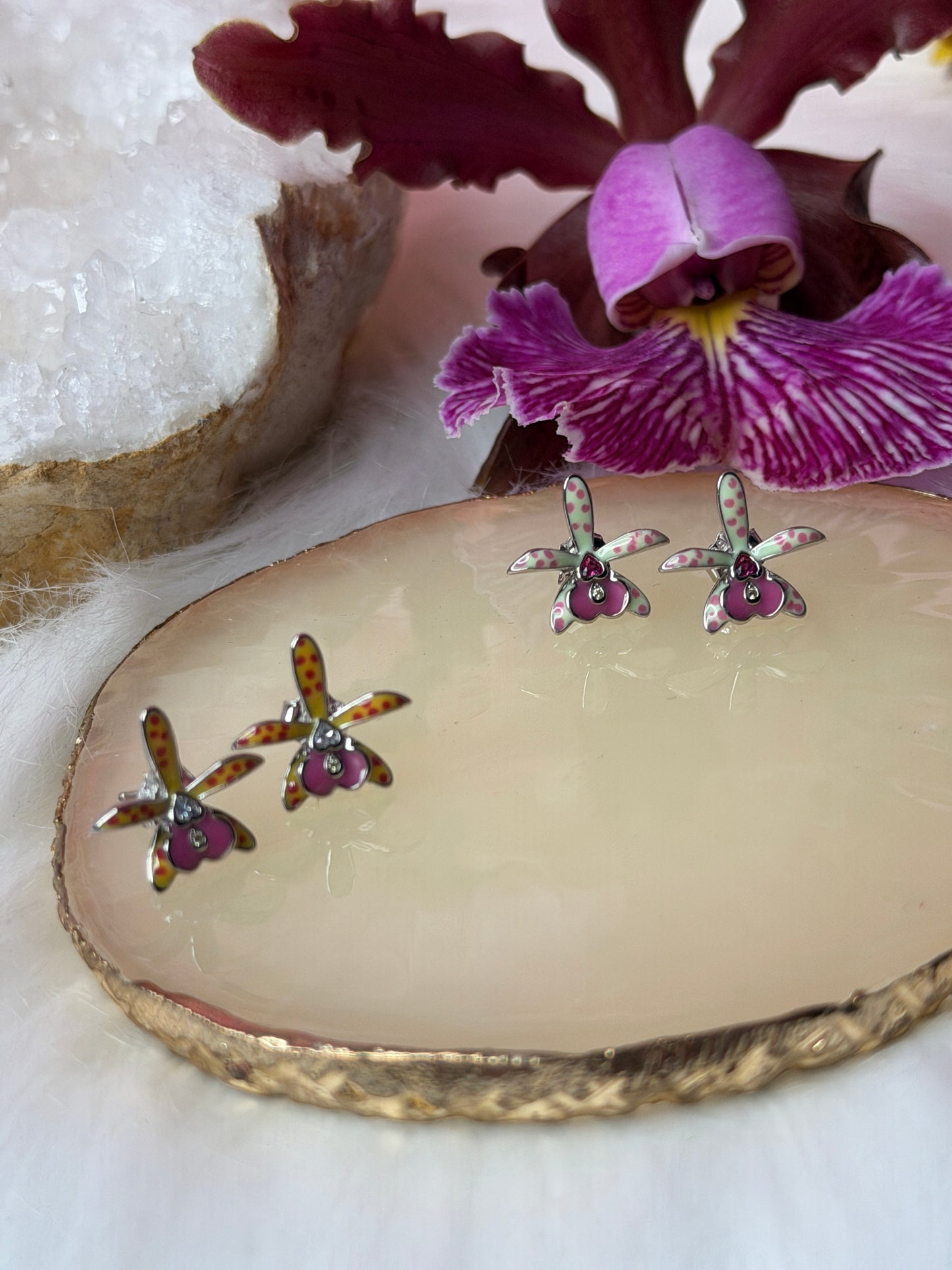 Brassocattleya Collection: Inspiration Small World BC Hippodamia Orchid Jewelry - Orchidique