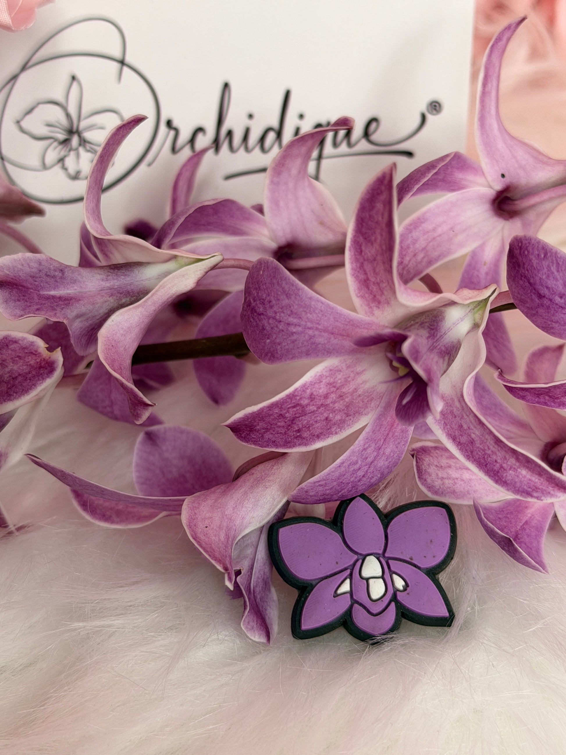 Dendrobium Orchid Shoe Charms for Crocs - Orchidique