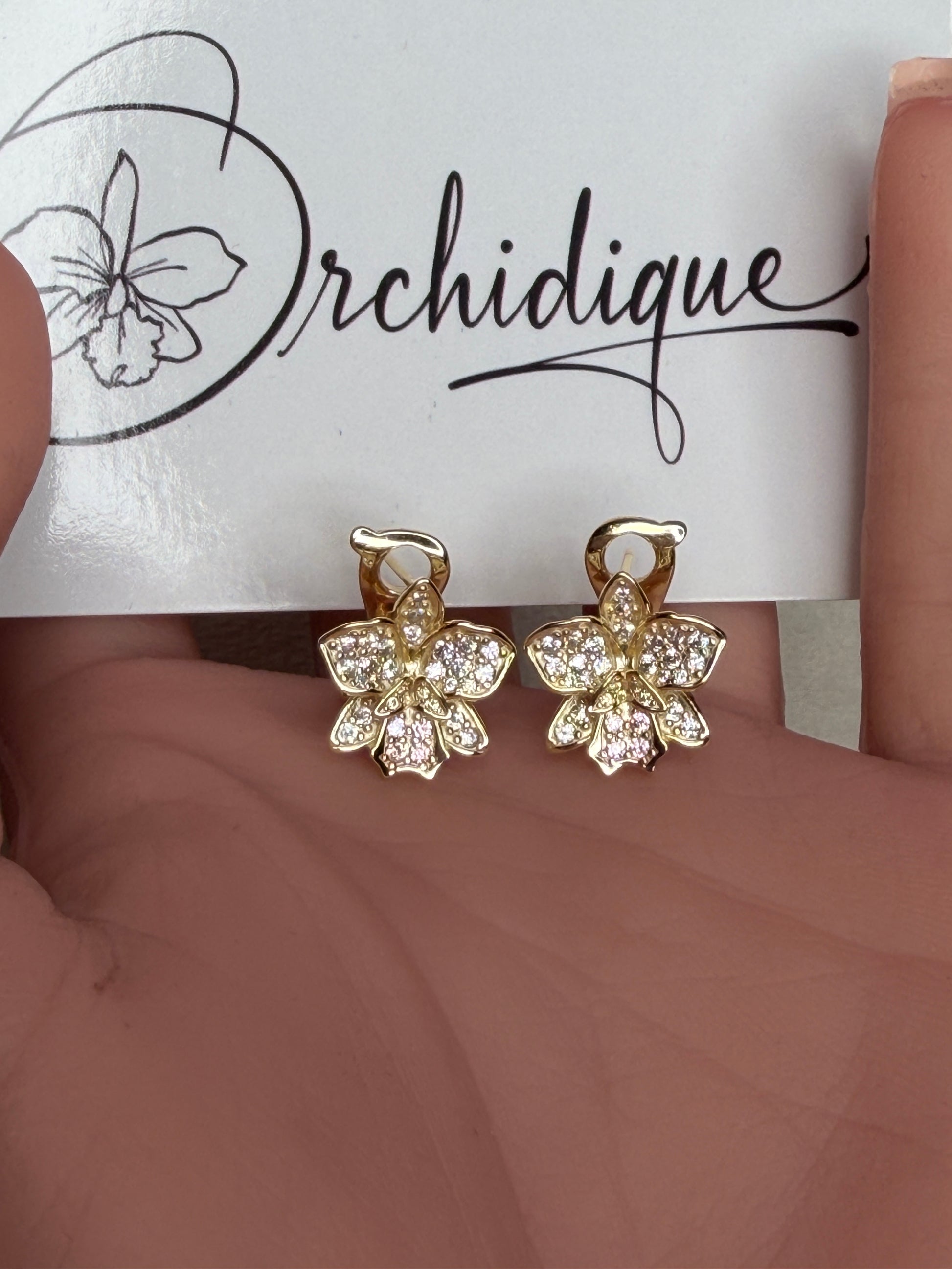 Shimmer Me Hawaiian Cattleya Earrings - Orchidique