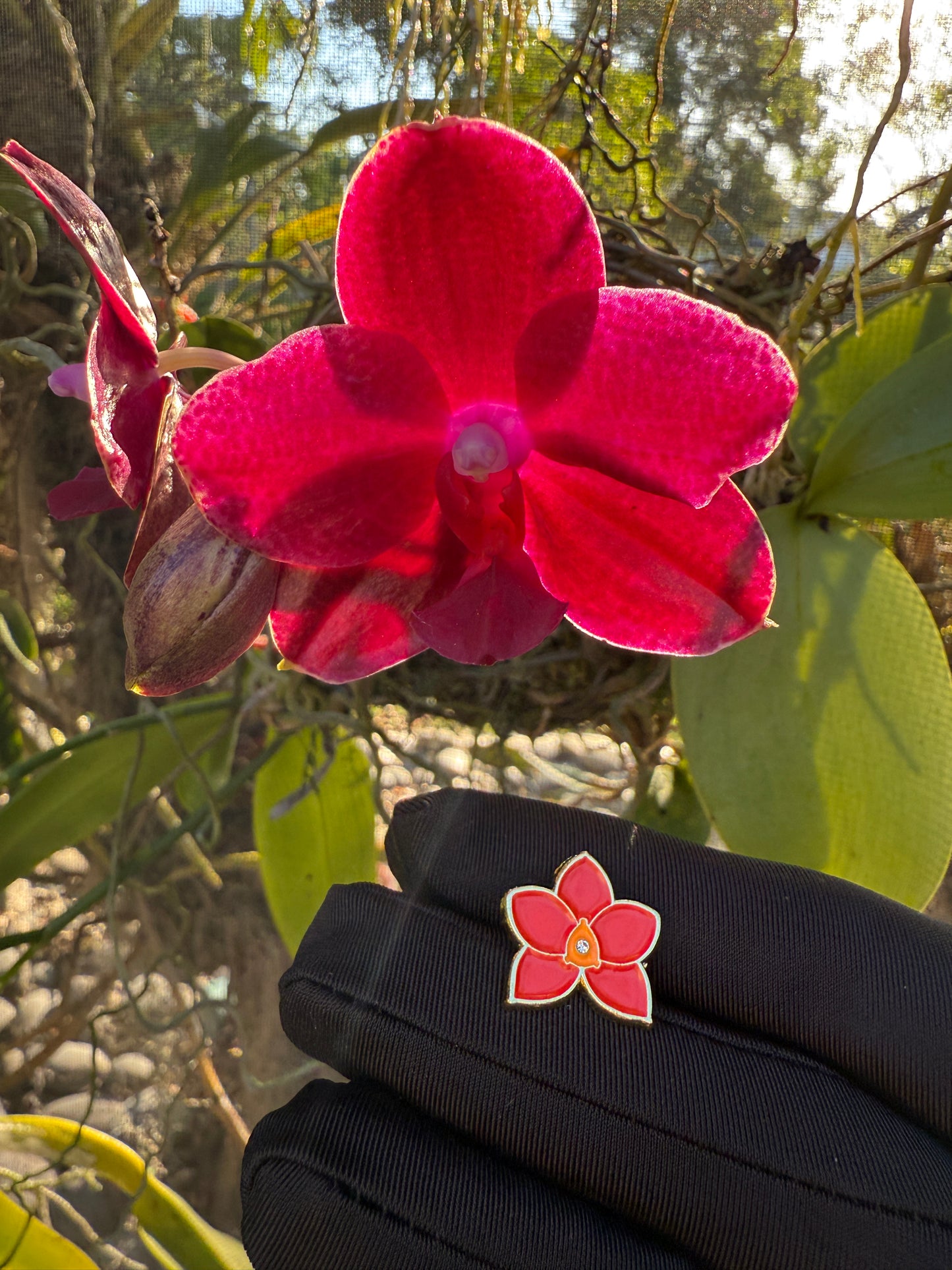 Novelty Phalaenopsis Watch Band Charms - Orchidique