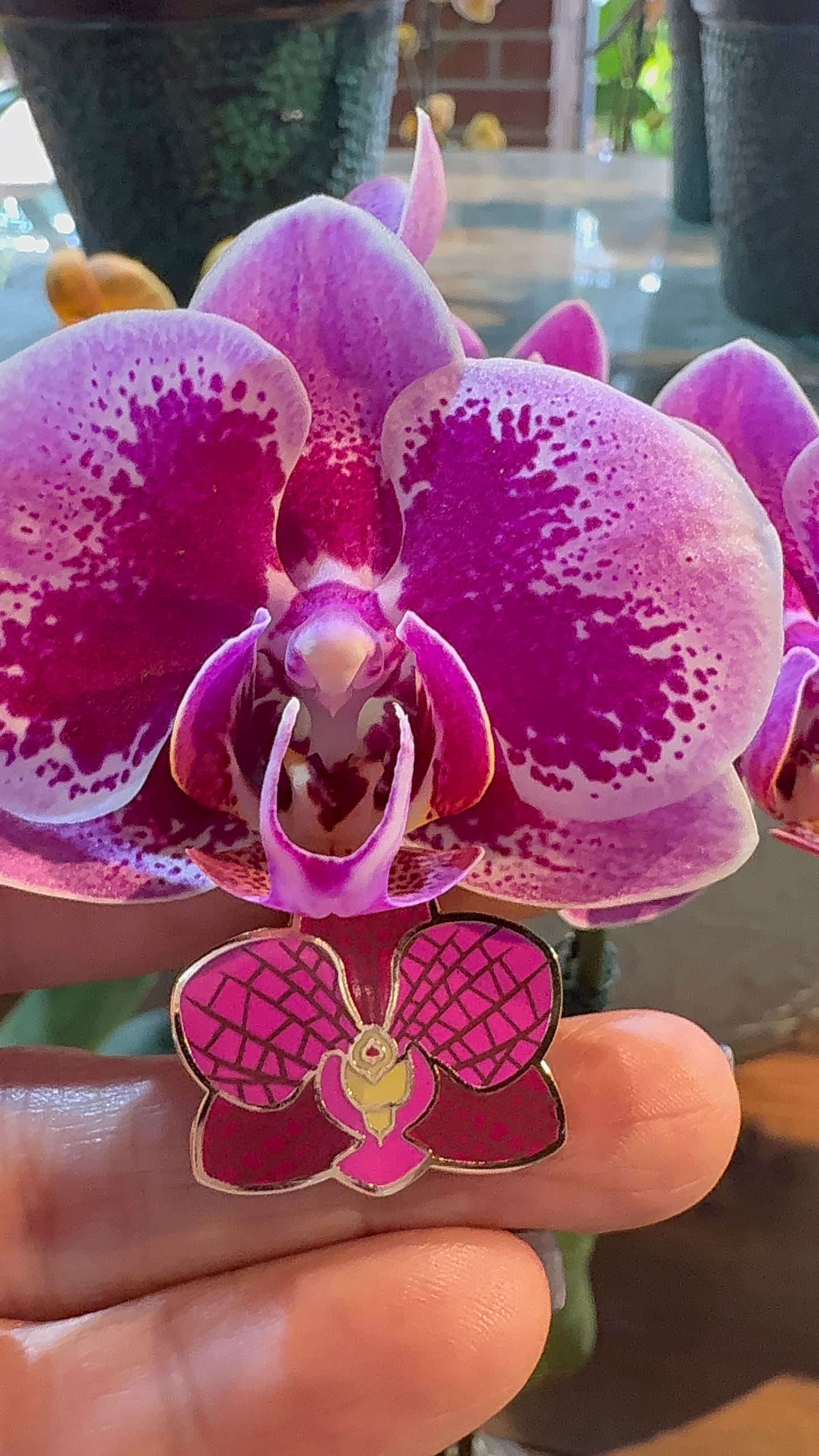 Phalaenopsis Orchid Flower Enamel Pin