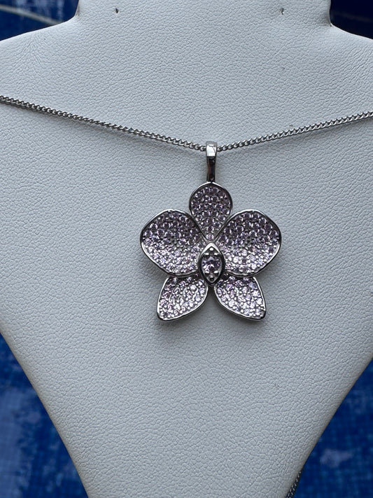 Shimmer me Phalaenopsis Collection • Pink and White Gold